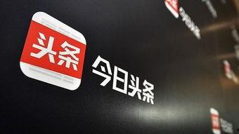 今日头条烟台莱山,探寻海滨城市的生态宜居魅力